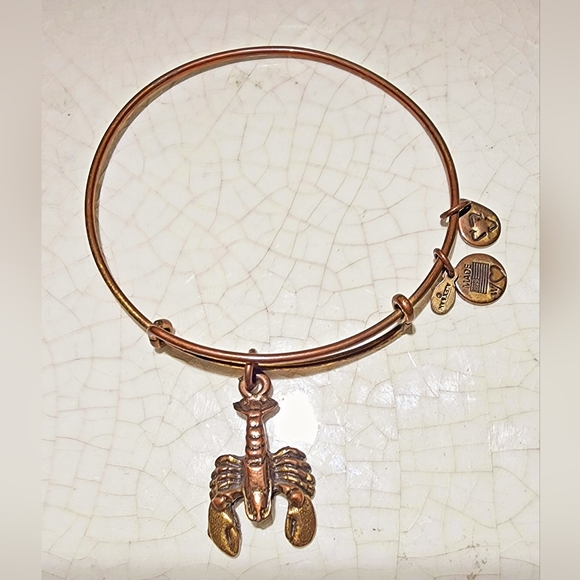 Alex and Ani copper tone scorpion adjustable wire bangle - Picture 2 of 6